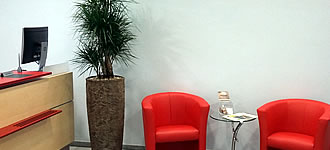 Blumenschmuck-fuer-Events