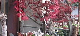 Blumenschmuck-fuer-Events