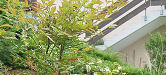 Gartenpflege